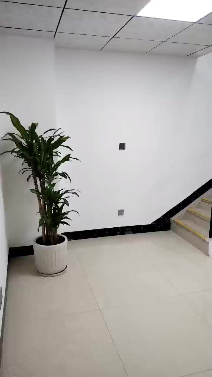 查看全部图片