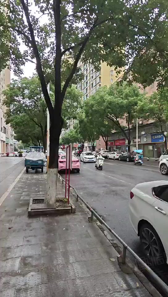 浙江路附近戴家弄吉马社区底商 走一手程序直接办证 层高5,景德镇珠山