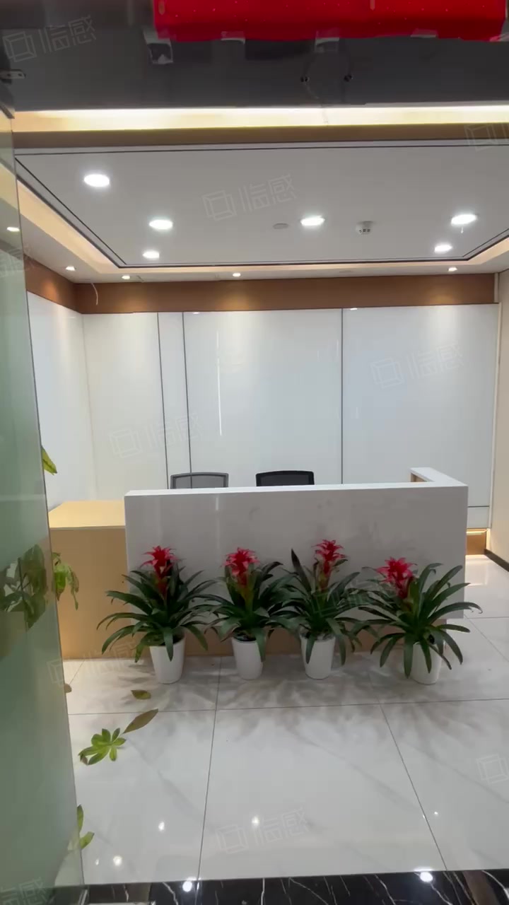 【14图】全景落地窗 地铁口 电梯口 高胜商业大厦214平 带家具,武汉